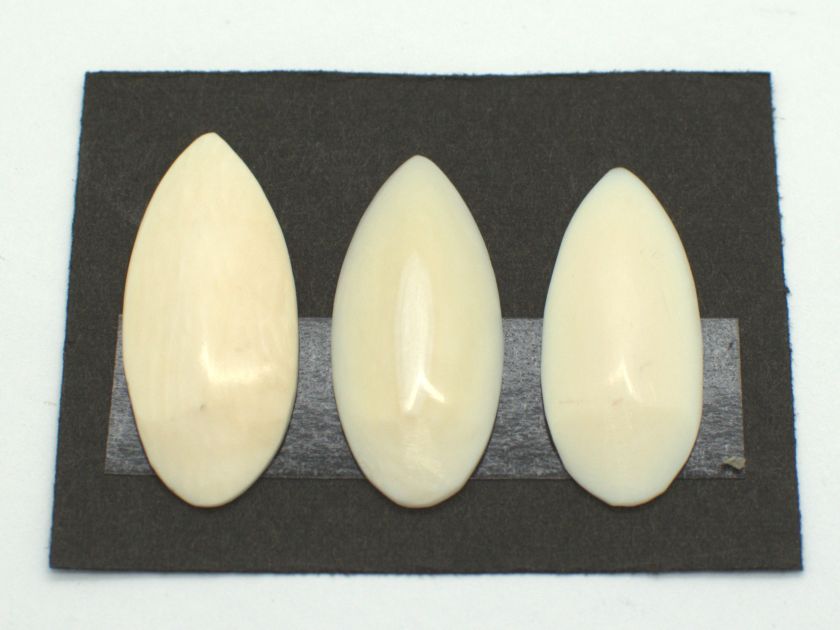 *Outlet* Yamada Style Ivory Koto Tsume (Nakanoshima Style/Medium) 06