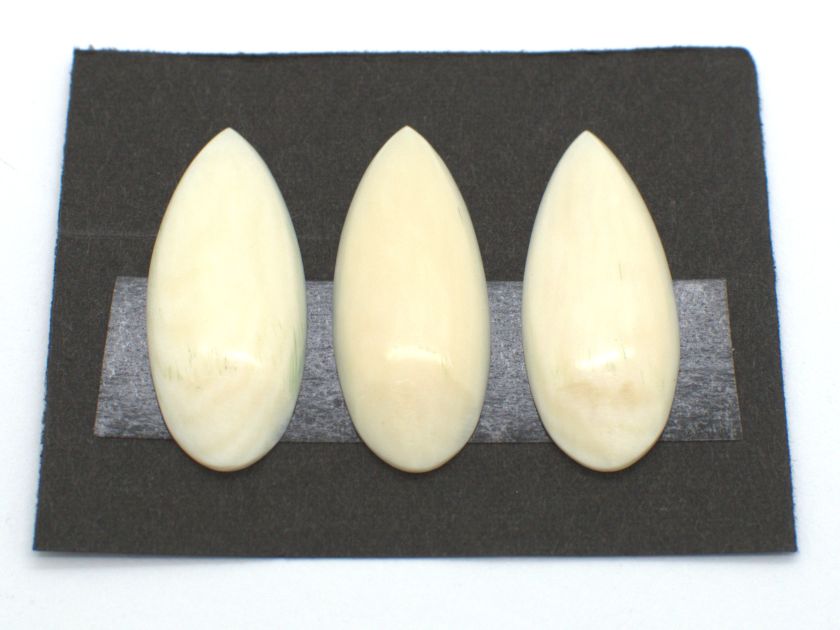 *Outlet* Yamada Style Ivory Koto Tsume (Nakanoshima Style/Small) 02