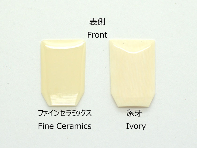 Ikuta Style Fine Ceramics Koto Tsume (Medium)