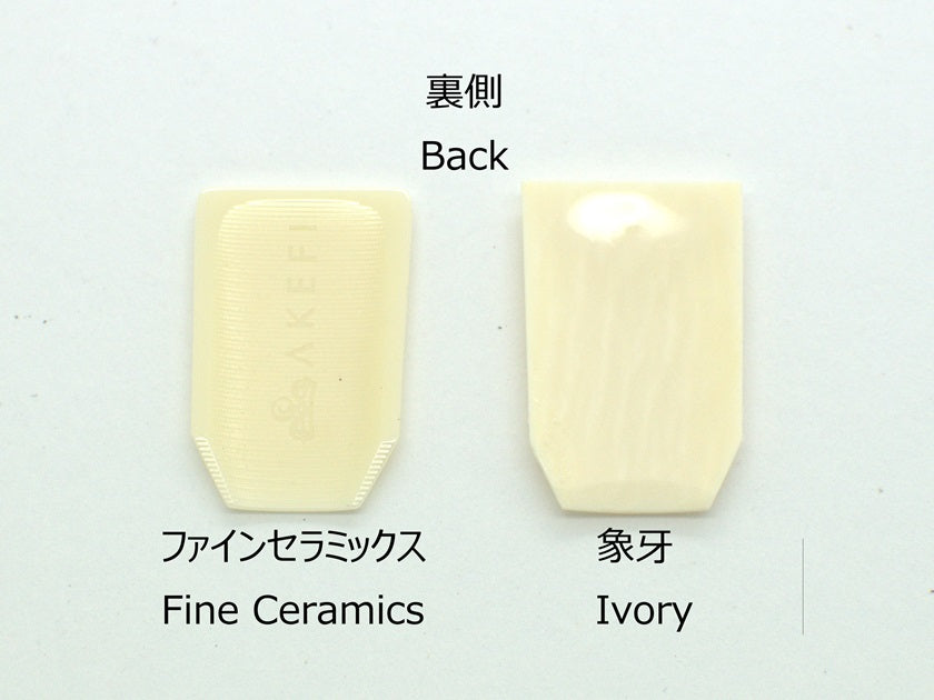 Ikuta Style Fine Ceramics Koto Tsume (Medium)