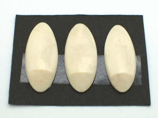 *Outlet* Yamada Style Ivory Koto Tsume (Large) 13