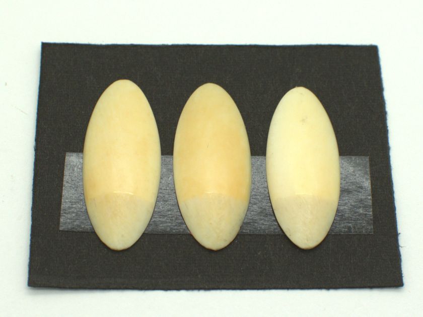 *Outlet* Yamada Style Ivory Koto Tsume (Medium) 12