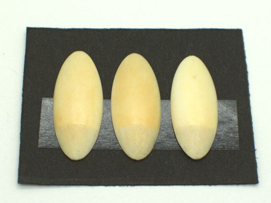 *Outlet* Yamada Style Ivory Koto Tsume (Medium) 12