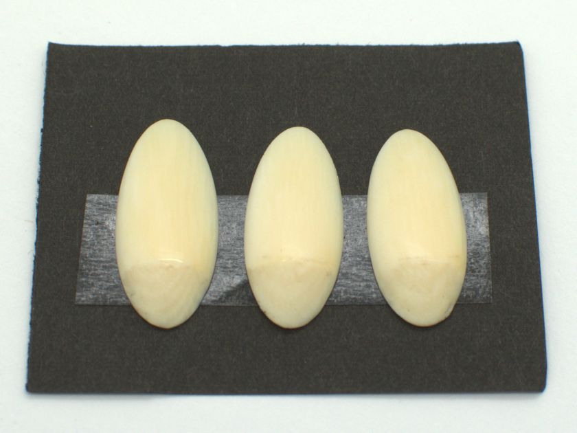 *Outlet* Yamada Style Ivory Koto Tsume (Small) 11