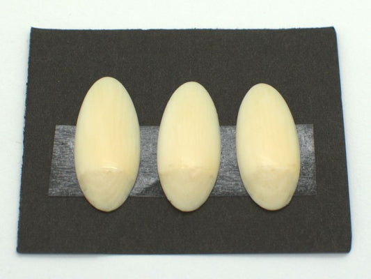 *Outlet* Yamada Style Ivory Koto Tsume (Small) 11