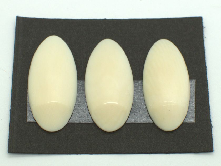 Yamada Style Ivory Koto Tsume (Large) 16